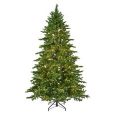 8720725850163 1 Galloway Spruce Led 6Ft.jpg